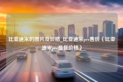 比亚迪宋的图片及价格_比亚迪宋pro售价（比亚迪宋pro最低价格）