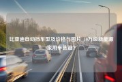 比亚迪自动挡车型及价格与图片_10万级新能源家用车选谁？