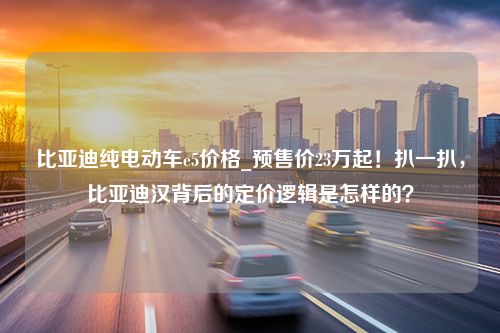 比亚迪纯电动车e5价格_预售价23万起！扒一扒，比亚迪汉背后的定价逻辑是怎样的？