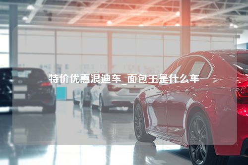 特价优惠浪迪车_面包王是什么车