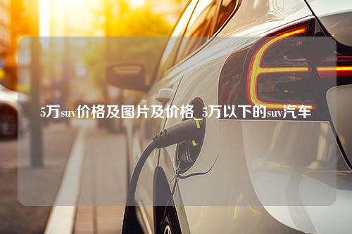 5万suv价格及图片及价格_5万以下的suv汽车