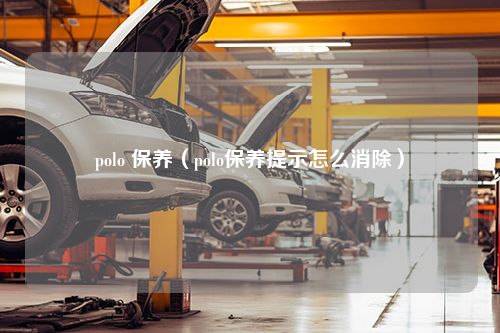 polo 保养（polo保养提示怎么消除）